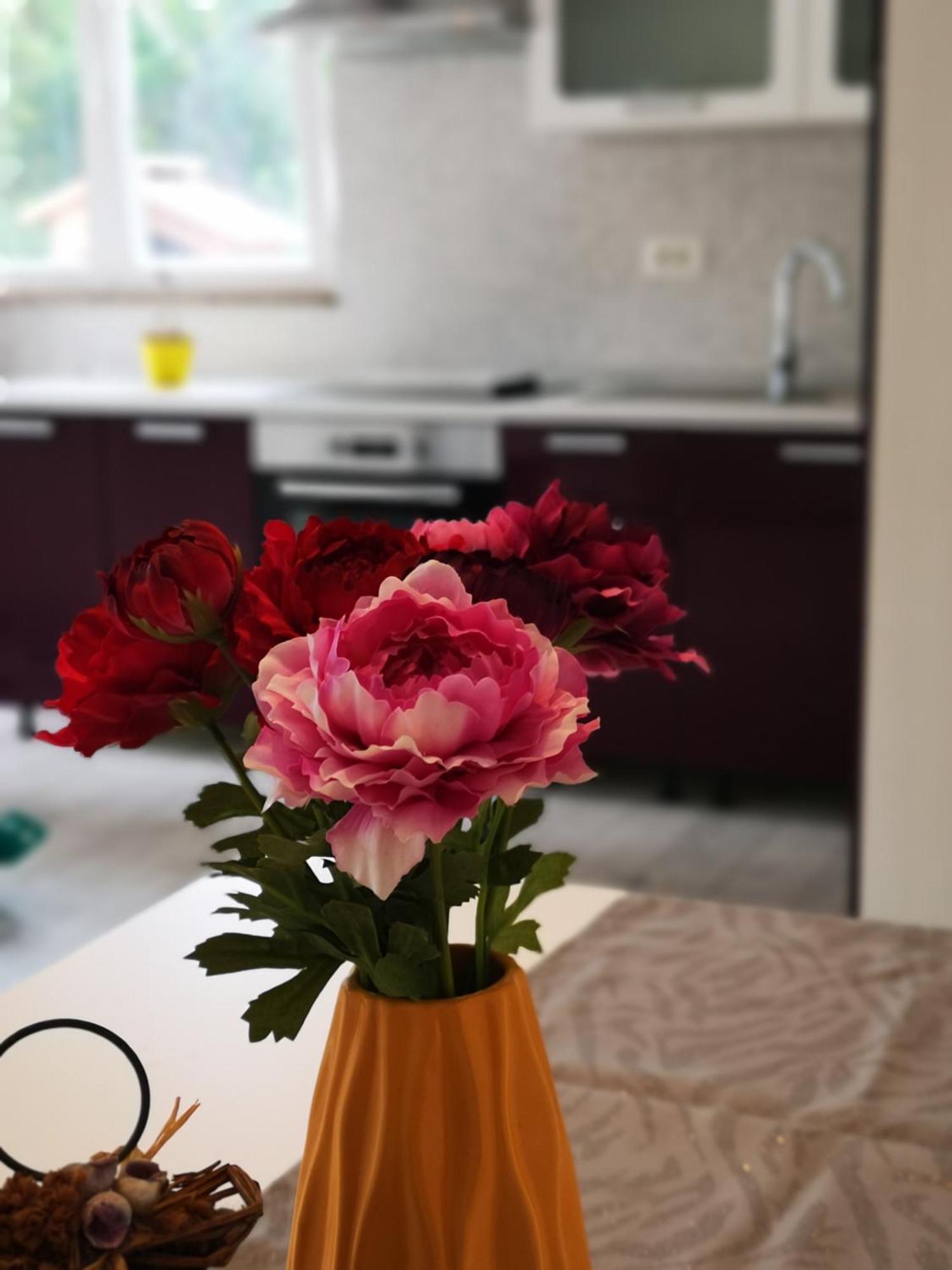 Apartmani "Sandro" Gonar Раб Стая снимка